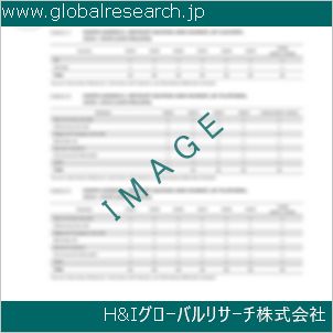 グローバルリサーチ調査資料のイメージ